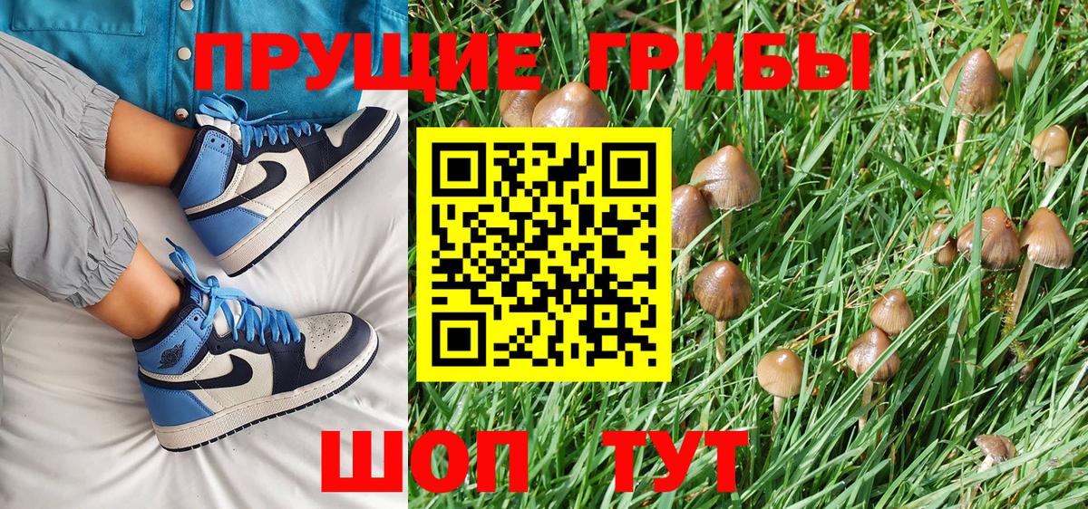 Галлюциногенные грибы Cubensis  Вход с VPN  Зерноград 