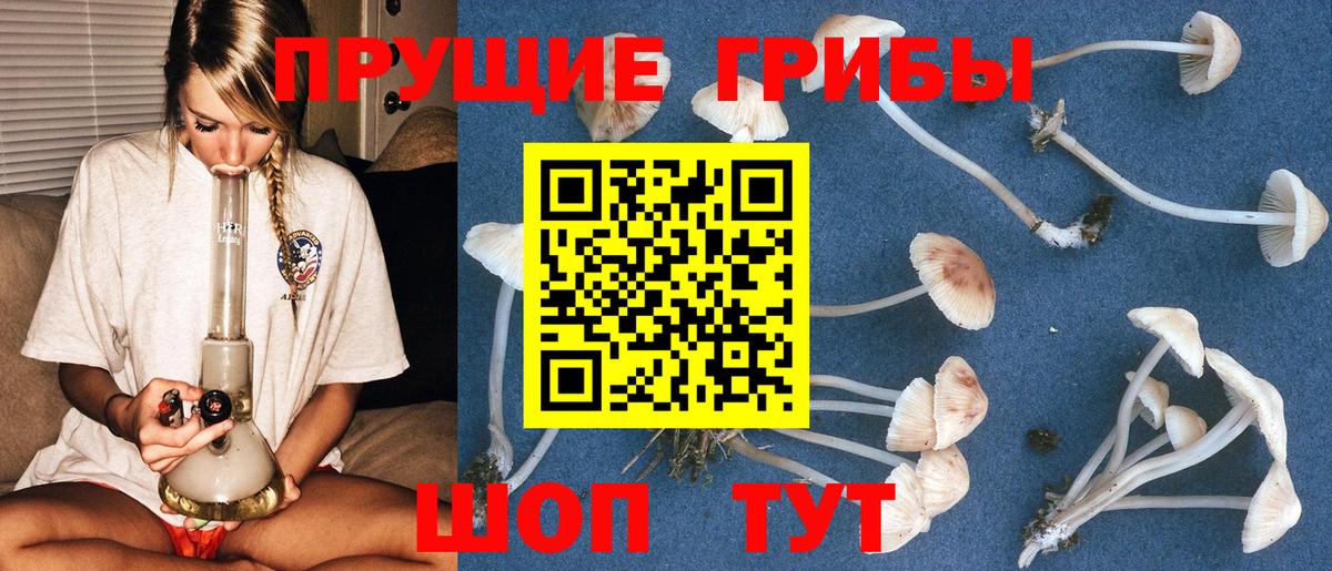 Галлюциногенные грибы GOLDEN TEACHER Зерноград