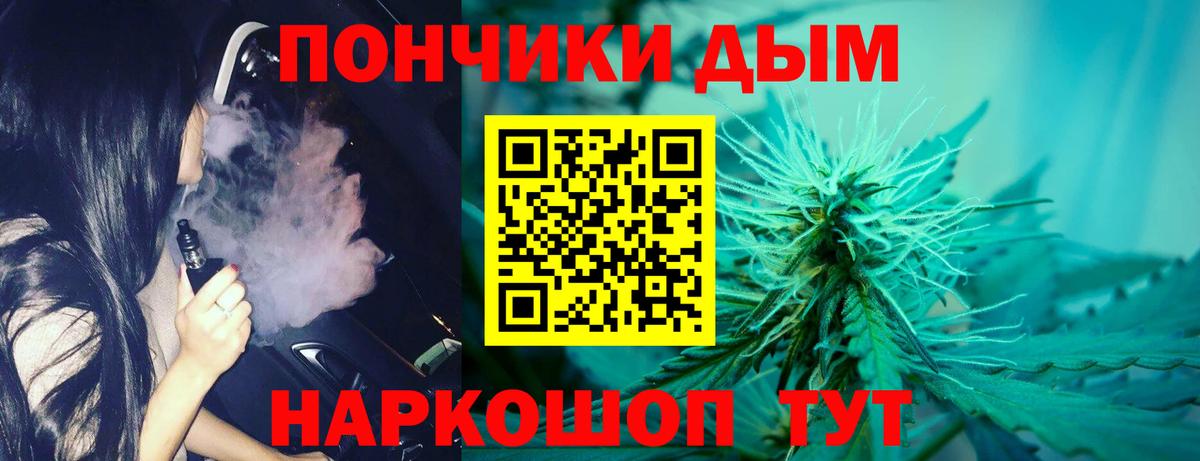 Бошки марихуана индика  Вход с VPN  Конопля сатива  Каннабис THC 21%  Зерноград 